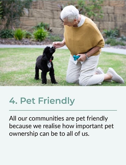 pet friendly