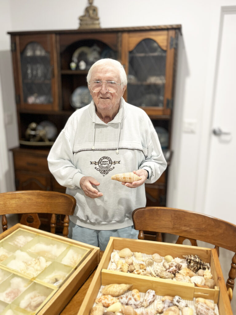 Frank Hayman shell collection